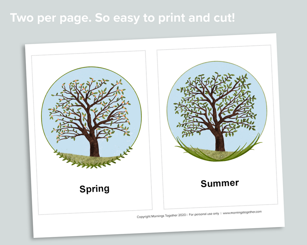 Editable Seasons Flashcards