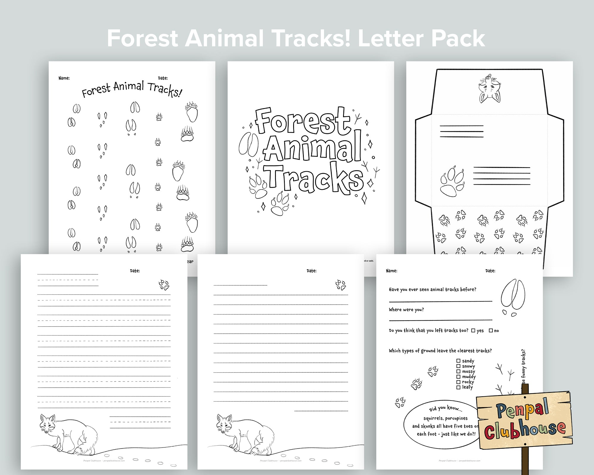 Forest Animal Tracks Letter Pack