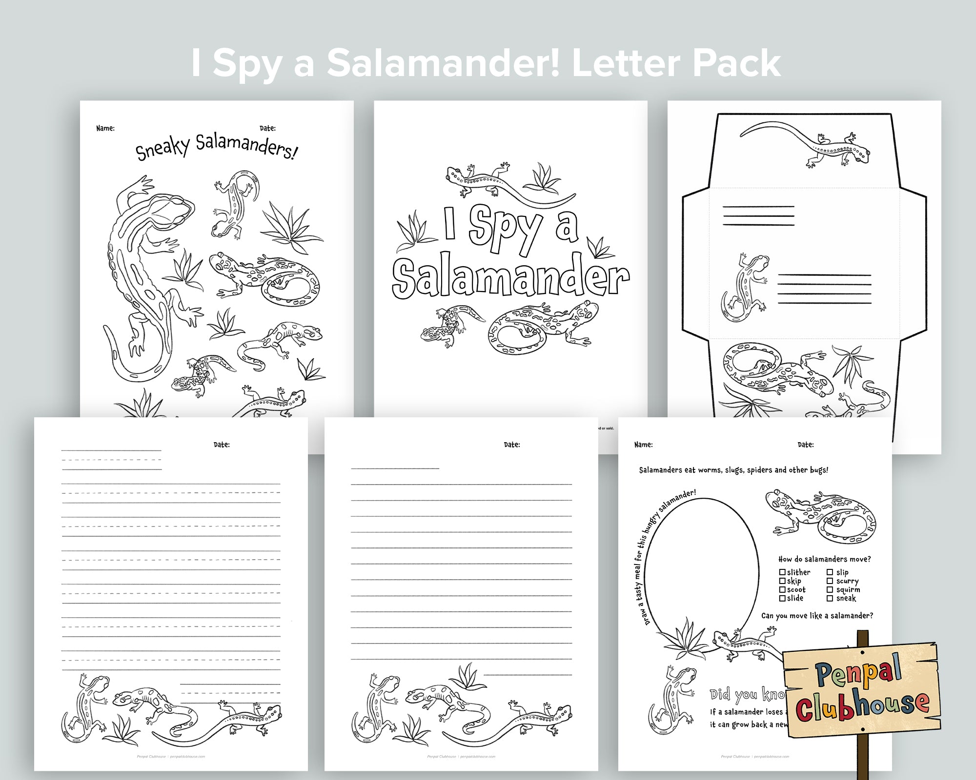 Salamander Letter Pack