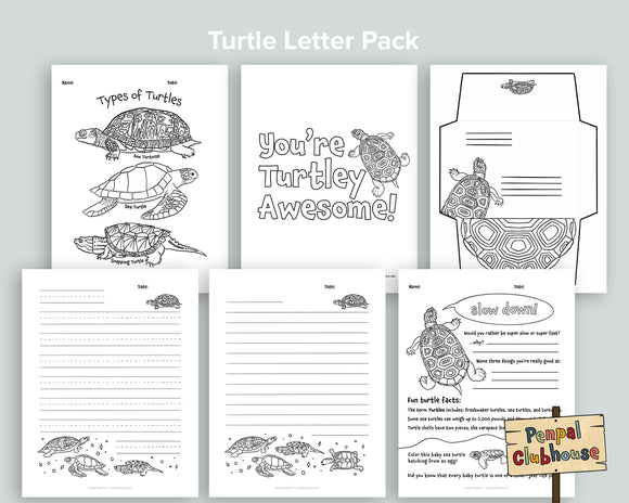 Turtle Letter Pack