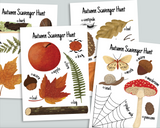 Autumn Bundle