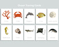 Ocean Tracing Cards Freebie