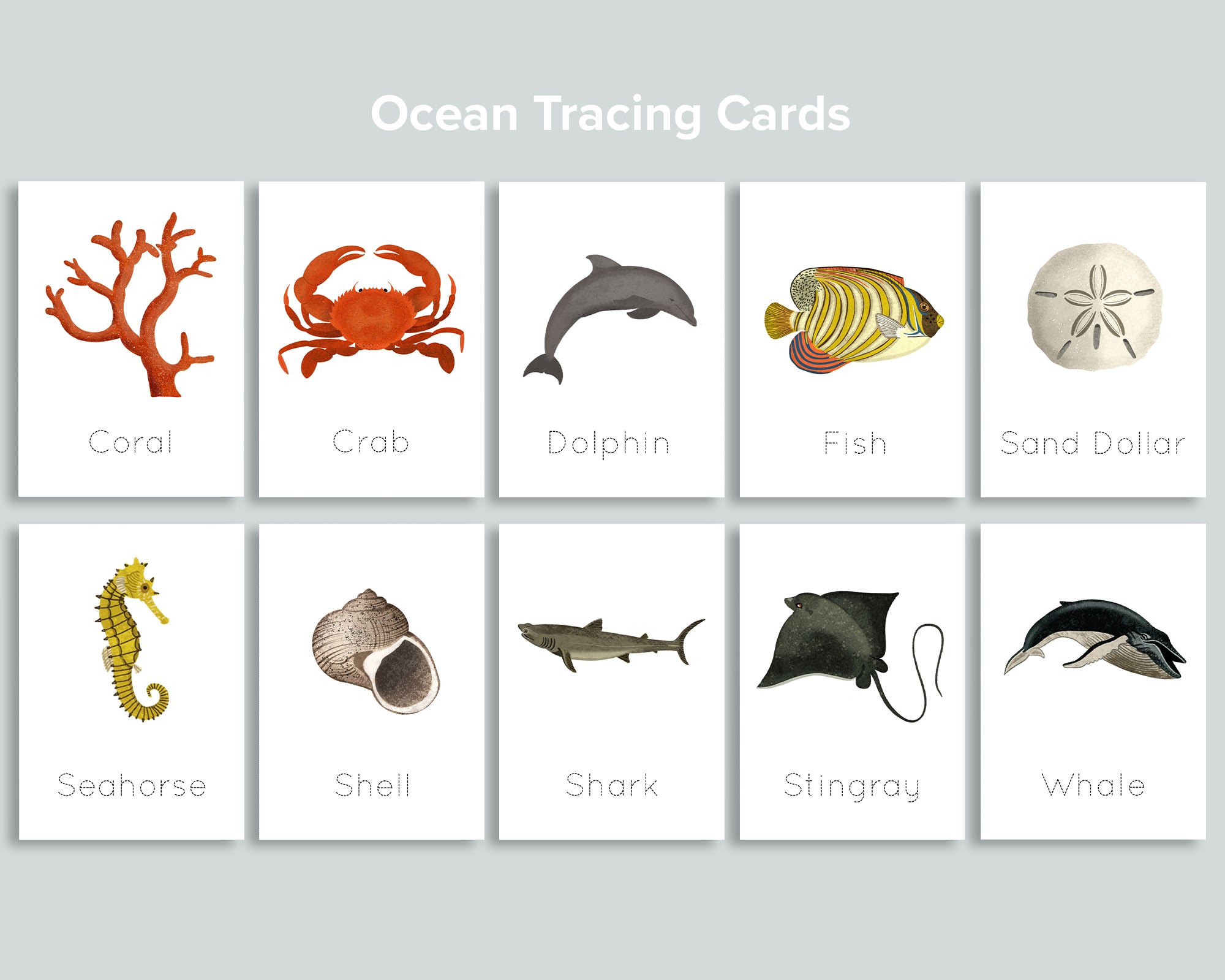 Ocean Tracing Cards Freebie