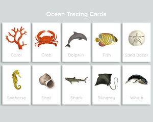 Ocean Tracing Cards Freebie