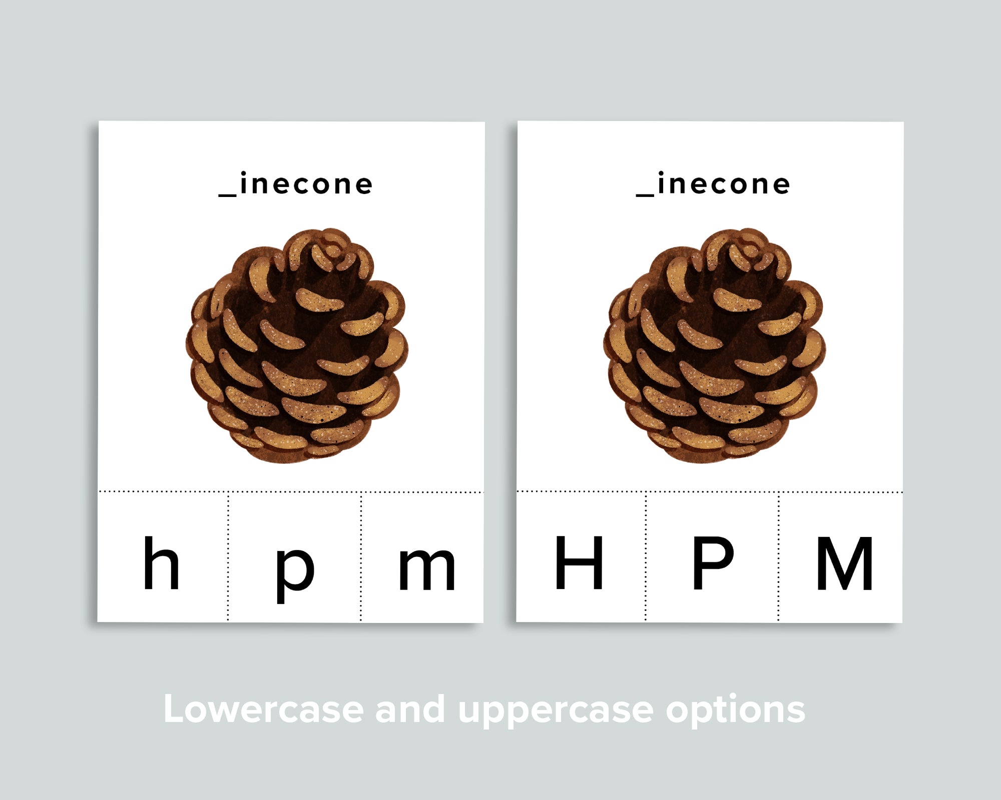 Beginning Sounds Clip Cards