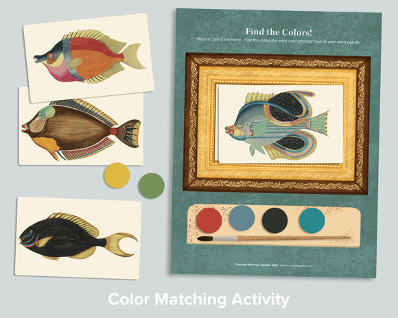 Find the Colors!