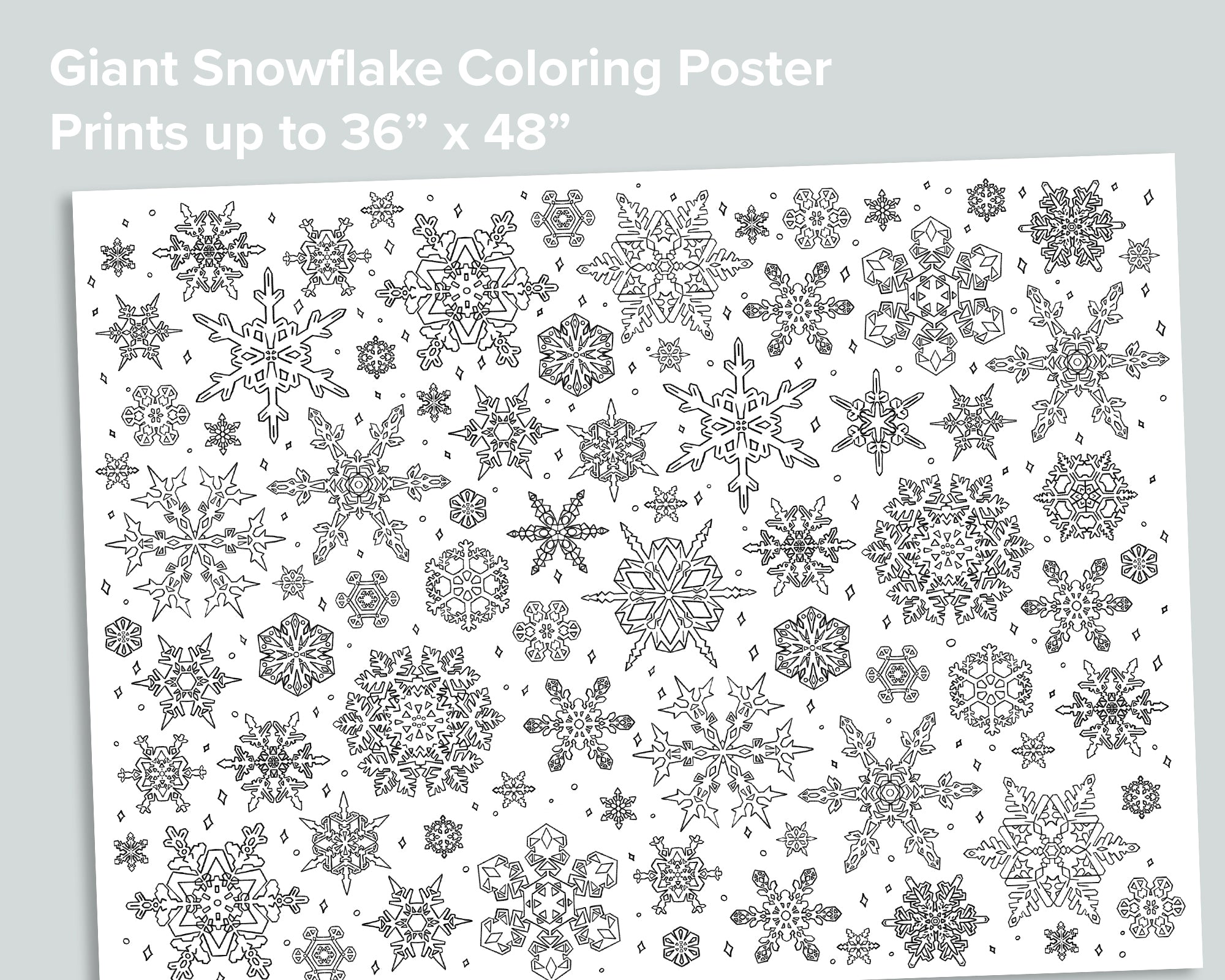 Winter Nature Bundle