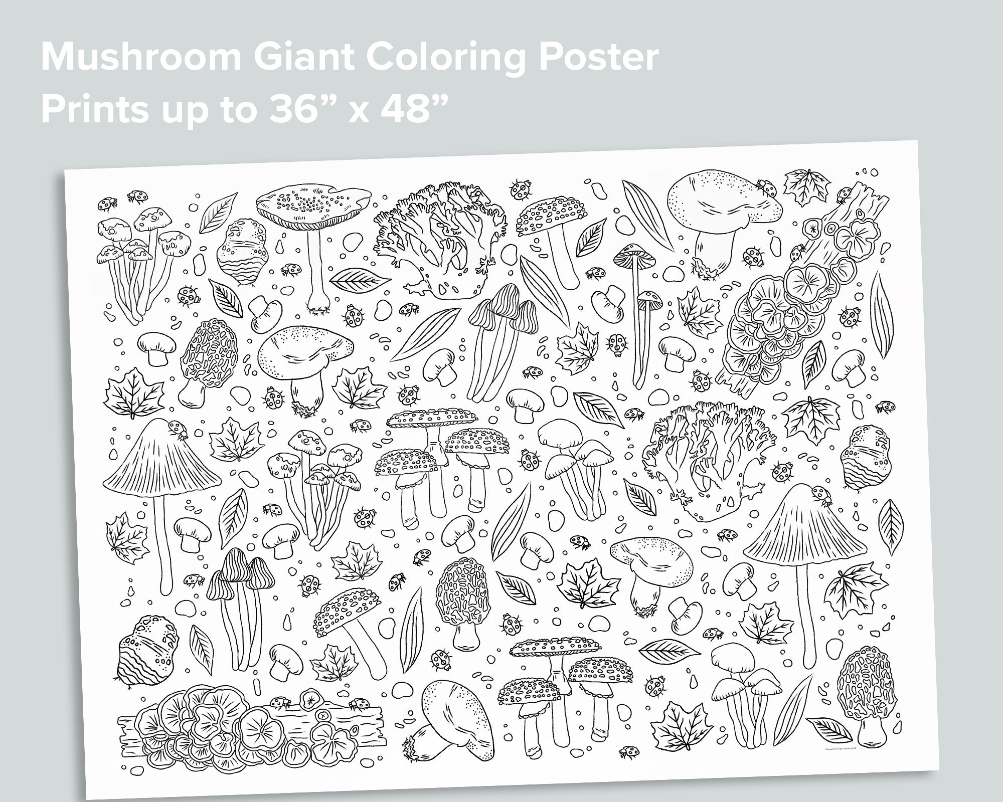 Mushroom Activity Pack