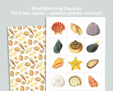 Seashell Mini Bundle