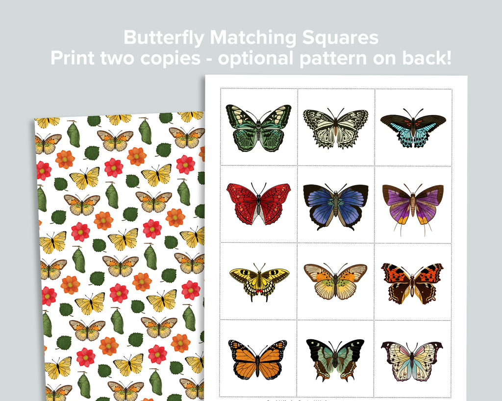 Butterfly Activity Pack