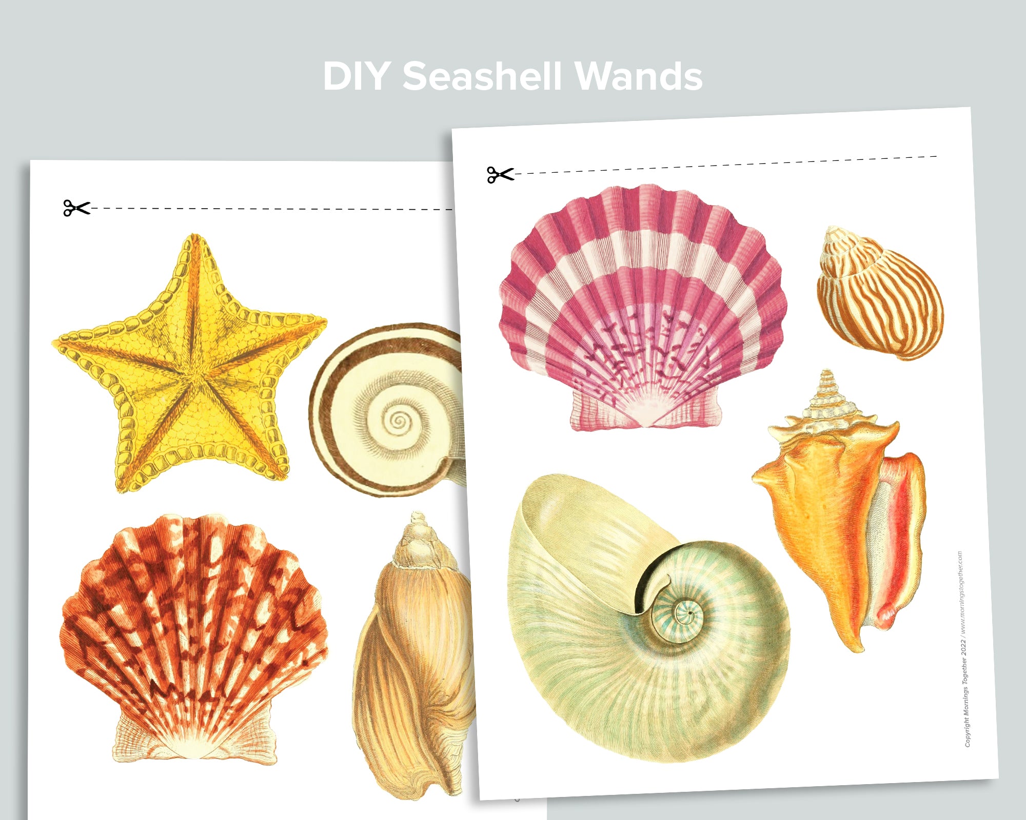 Seashell Wands Freebie