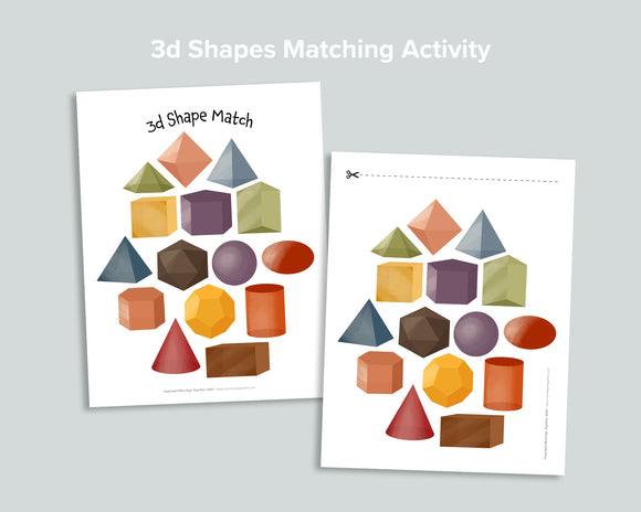 3D Shapes Matching Activity