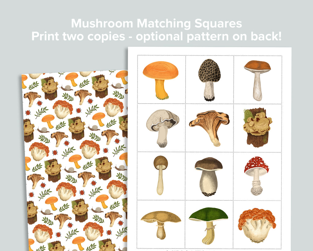 Mushroom Activity Pack