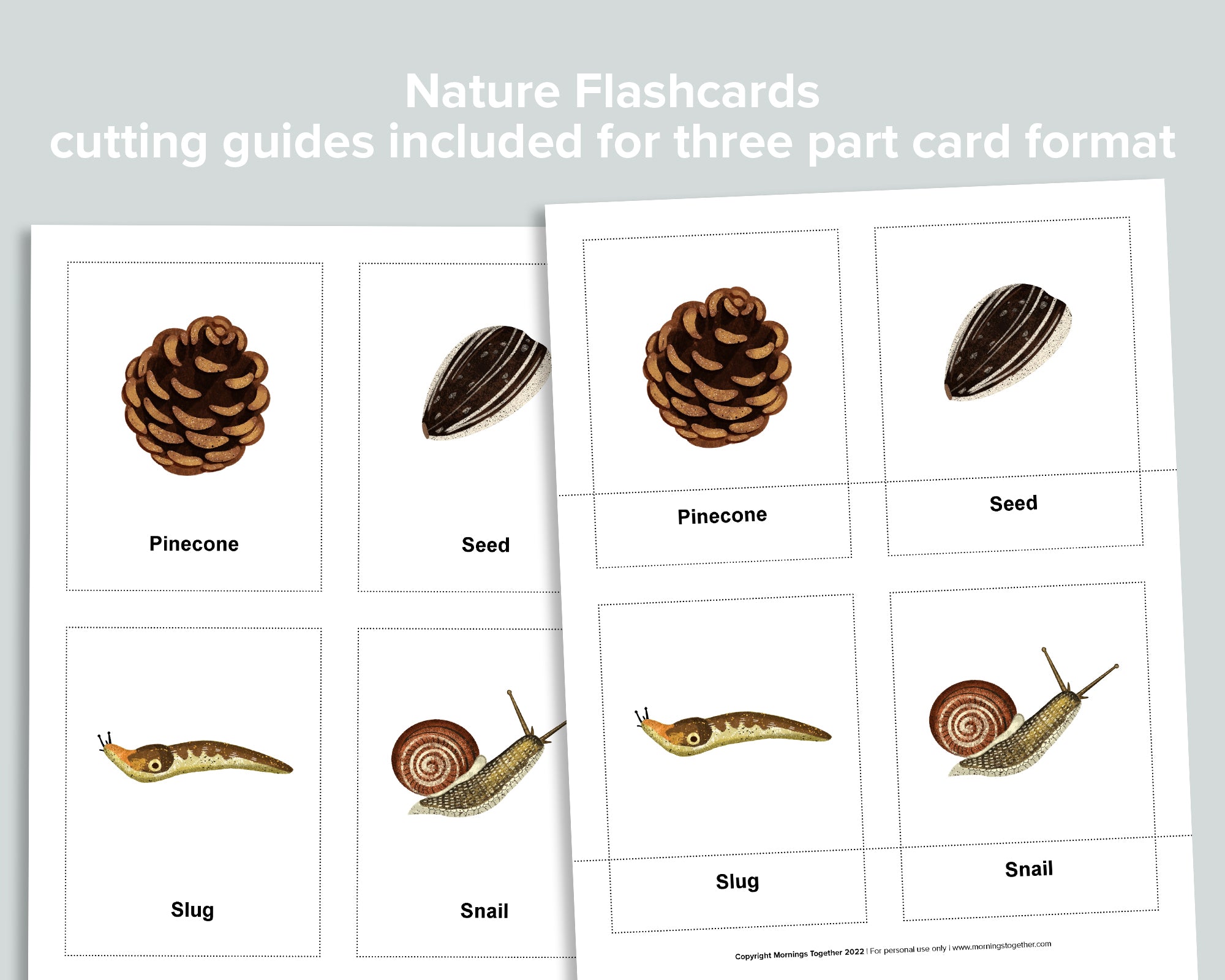 Editable Nature Flashcards (Three Part Cards)