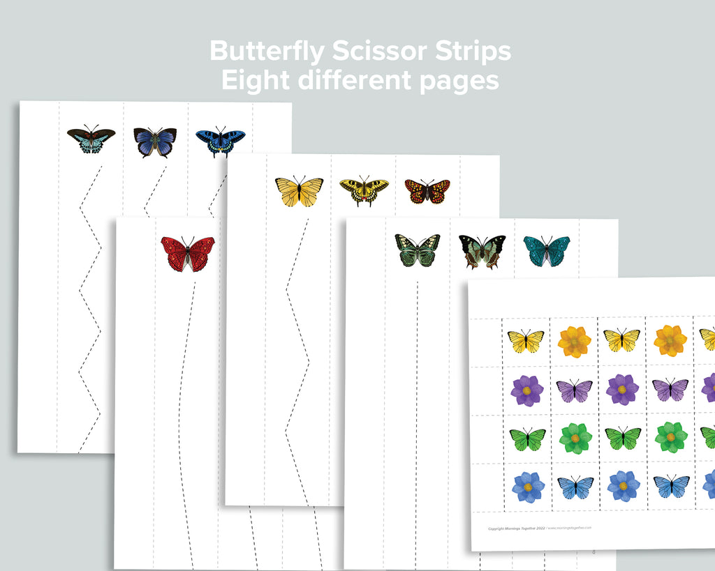 Butterfly Activity Pack