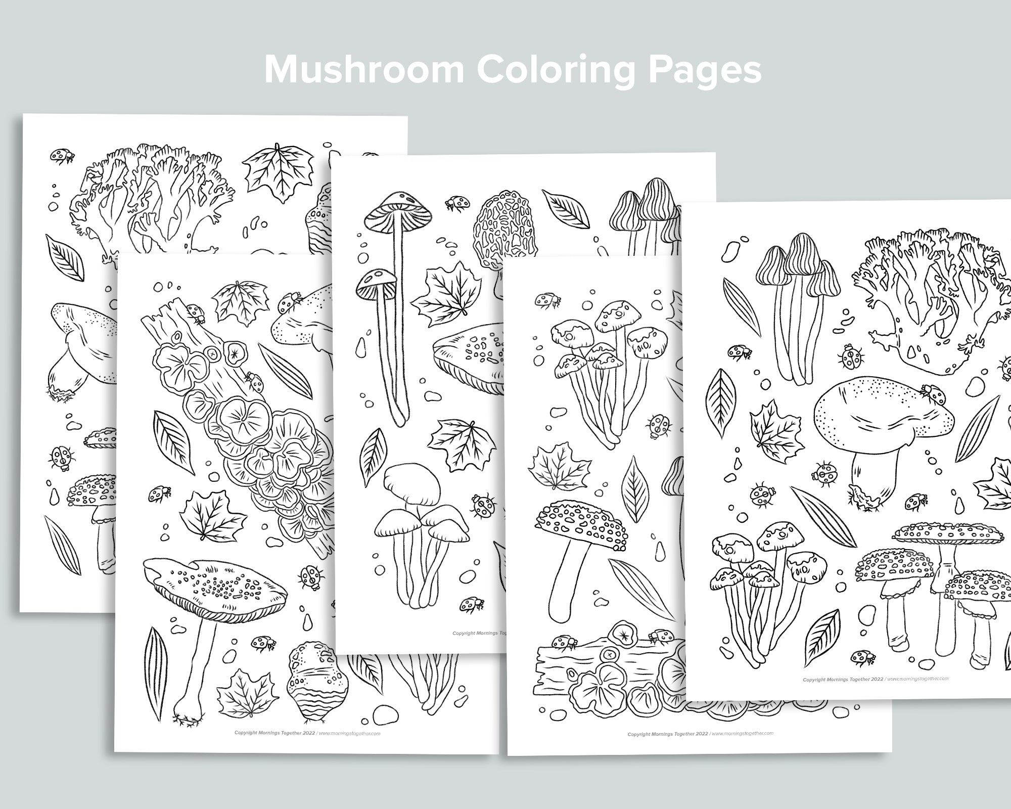 Mushroom Activity Pack