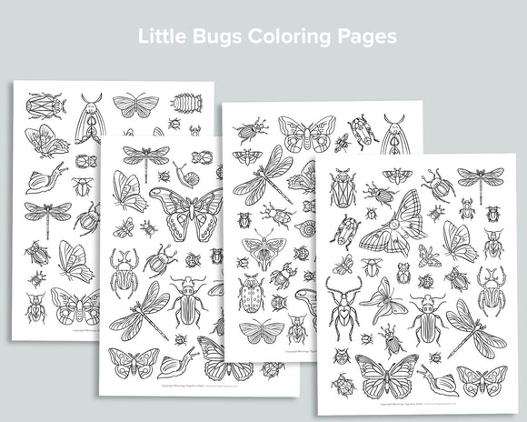 Little Bugs Coloring Pages