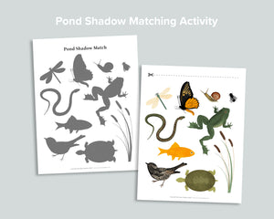 Pond Shadow Matching Activity