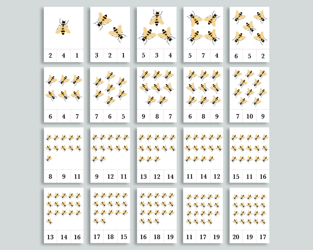 Honeybee Activity Pack