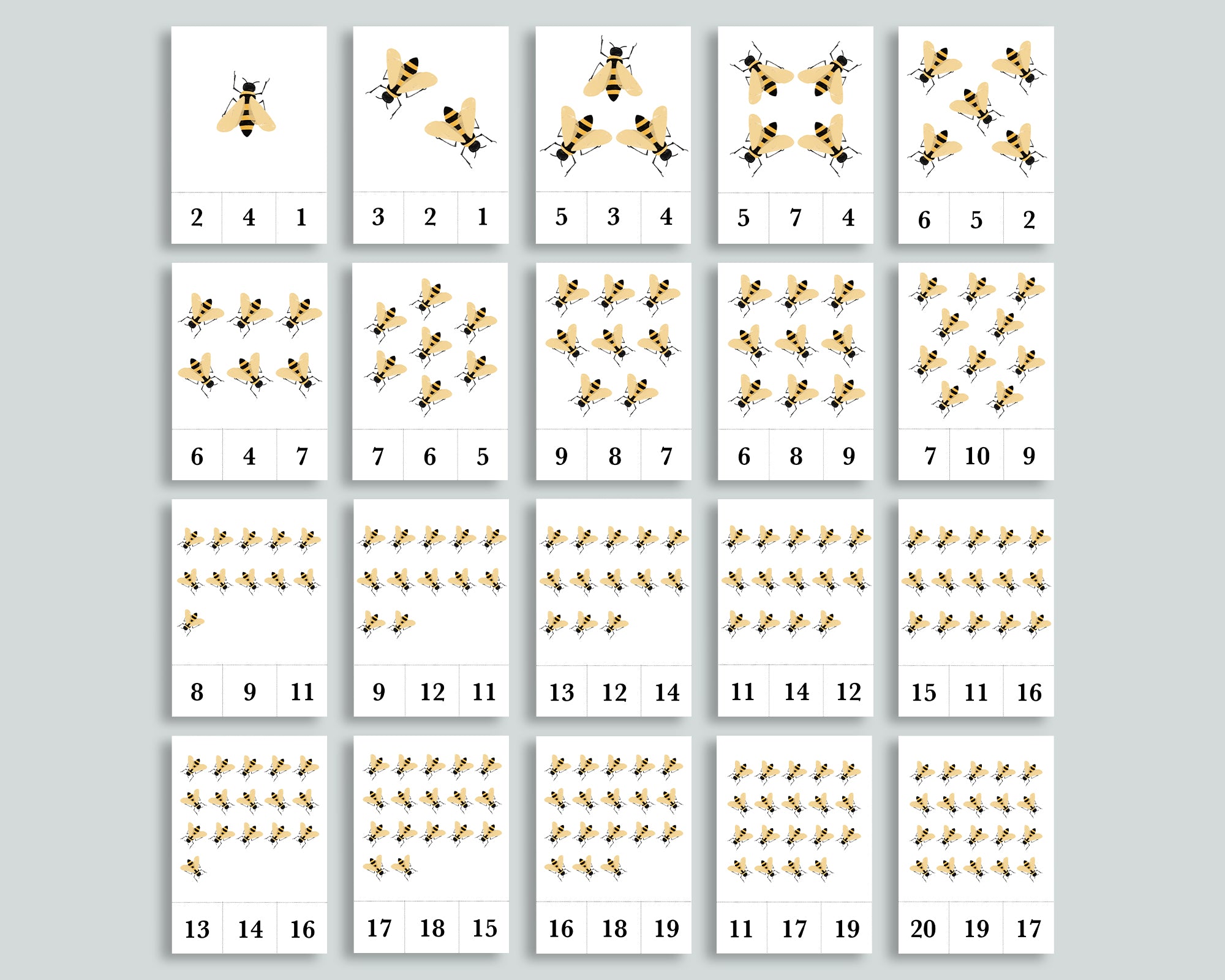 Honeybee Activity Pack