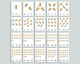 Honeybee Activity Pack