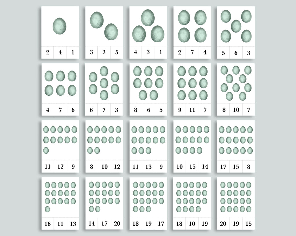 Egg Mini Bundle