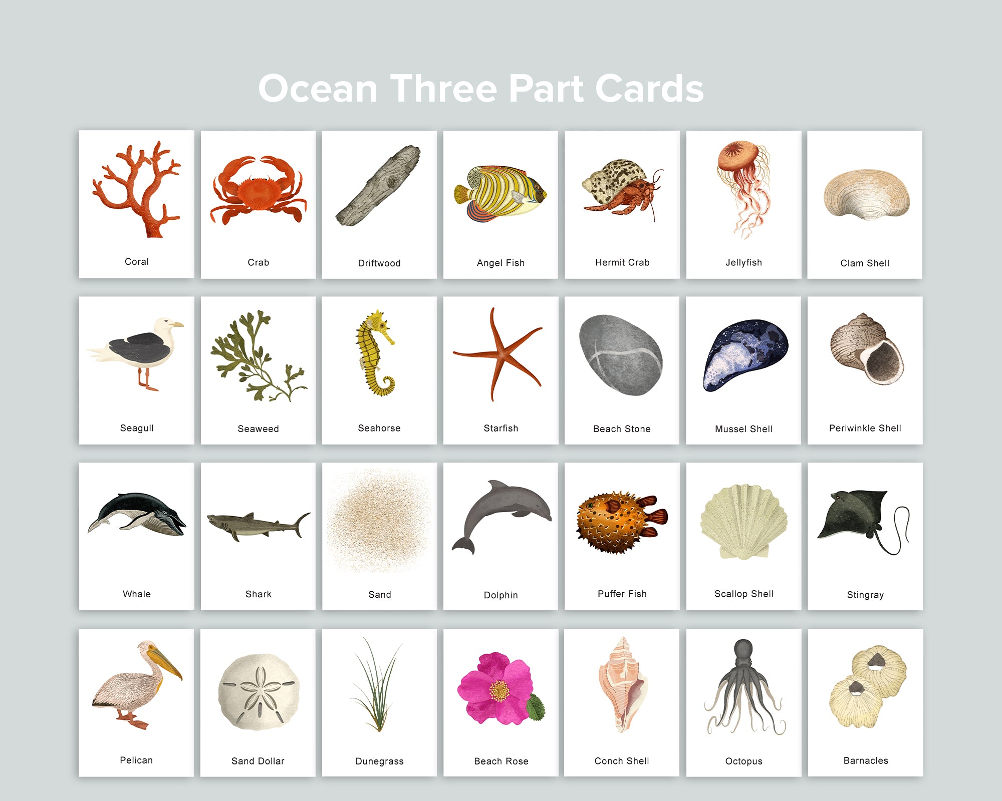 Ocean Activity Pack