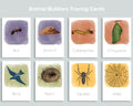 Animal Builders Tracing Cards Freebie