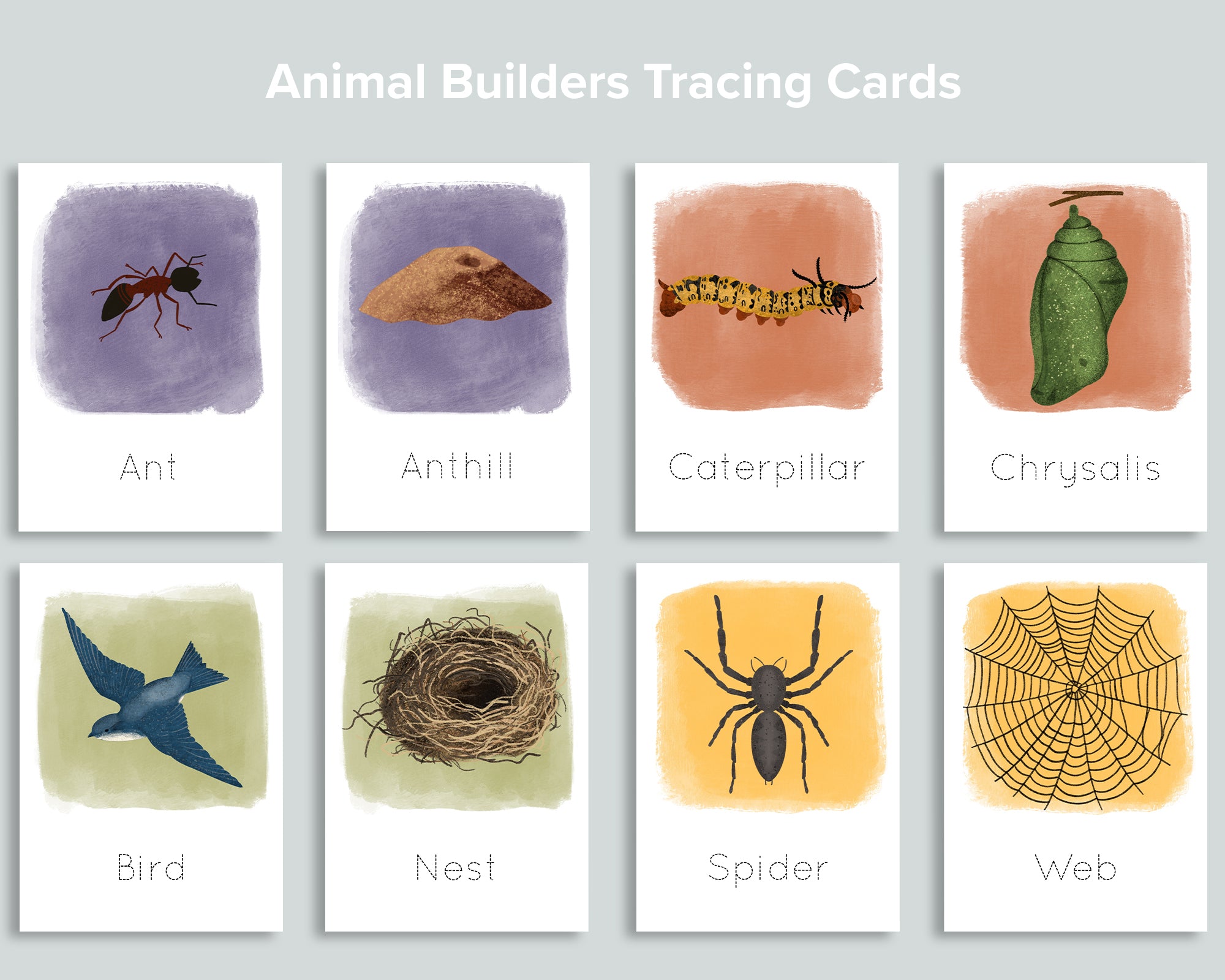 Animal Builders Tracing Cards Freebie