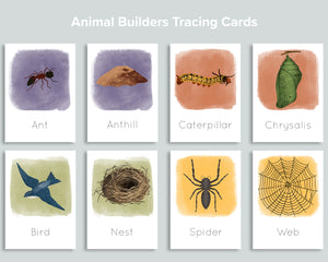 Animal Builders Tracing Cards Freebie