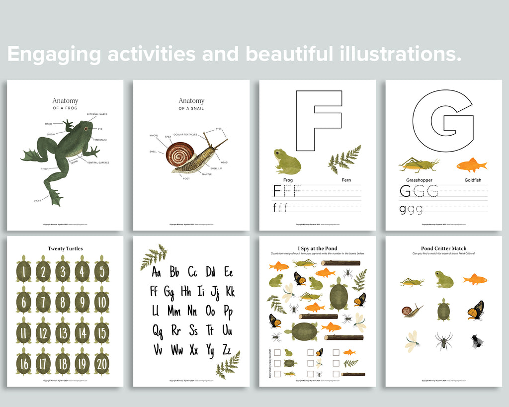 Pond Learning Pack