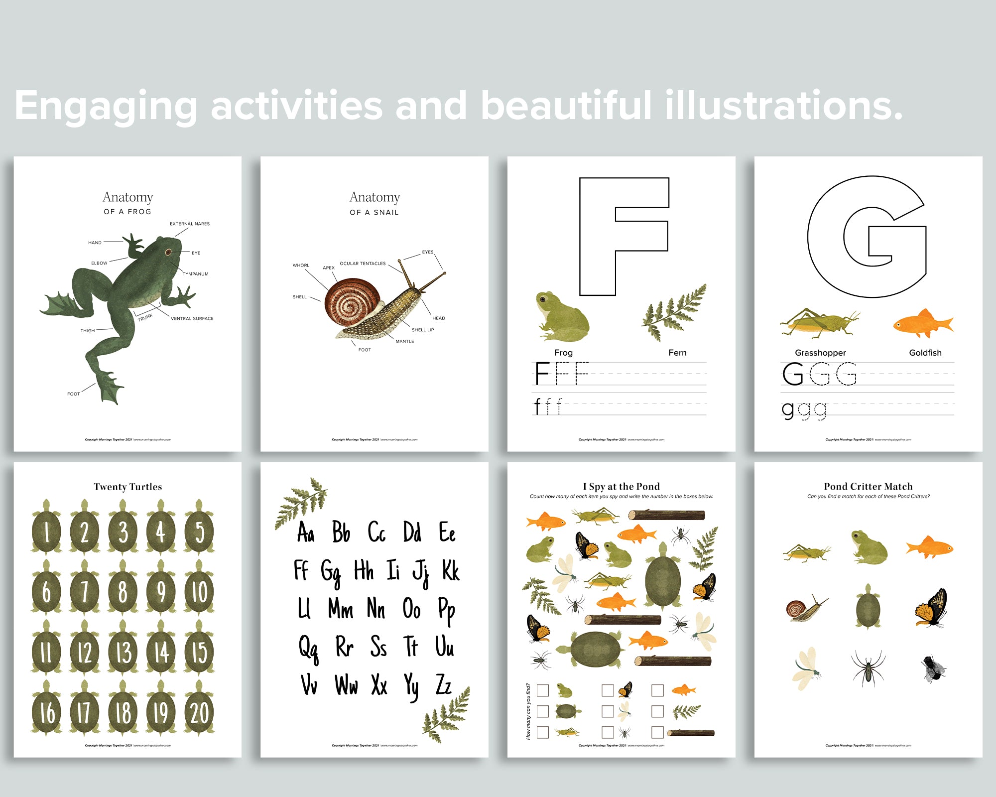 Pond Learning Pack