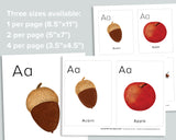 Nature Alphabet Flashcards
