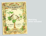 Vintage Nesting Birds Flashcards