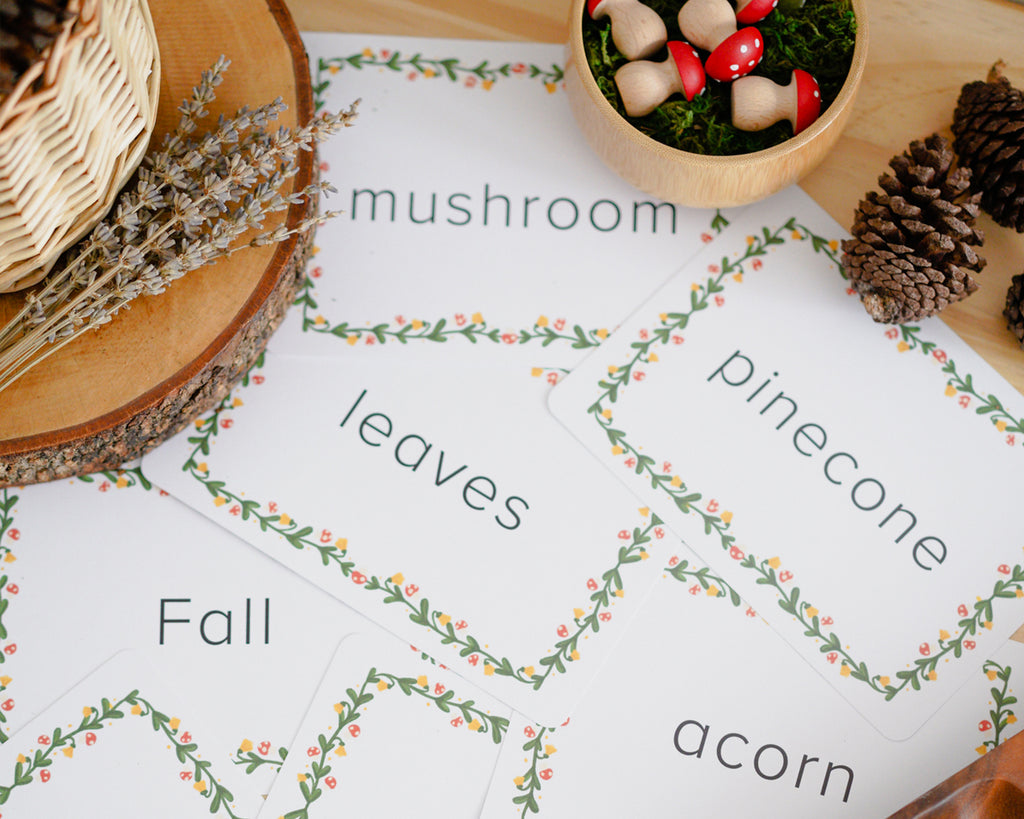 Autumn Vocabulary Cards Freebie