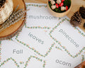 Autumn Vocabulary Cards Freebie