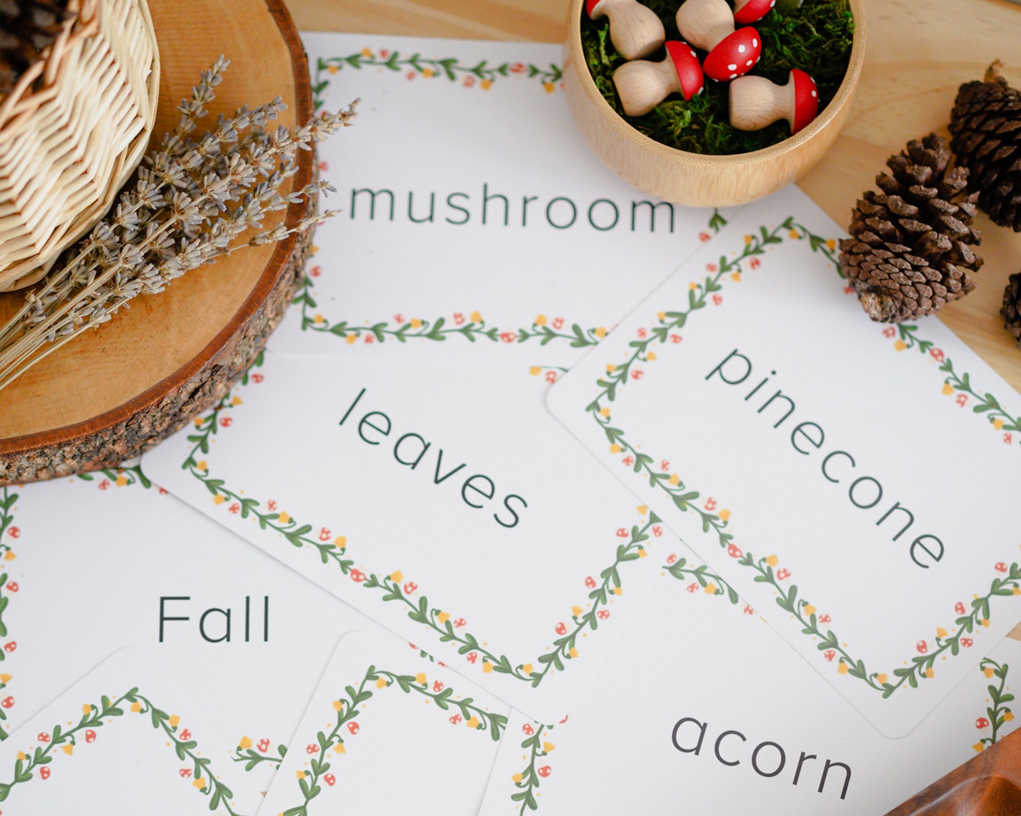 Autumn Vocabulary Cards Freebie