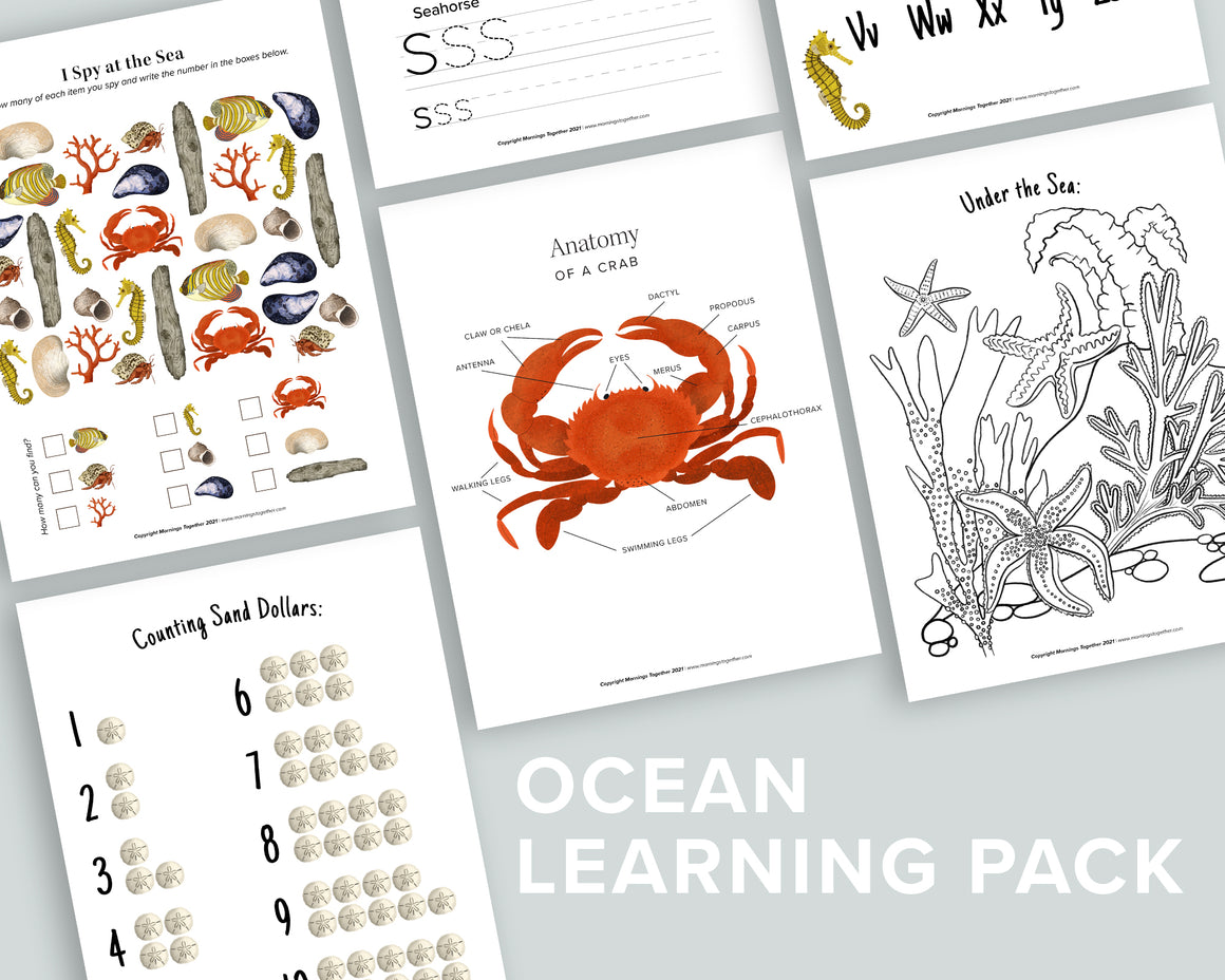 Ocean Learning Pack – Mornings Together