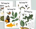 Pond Scavenger Hunt