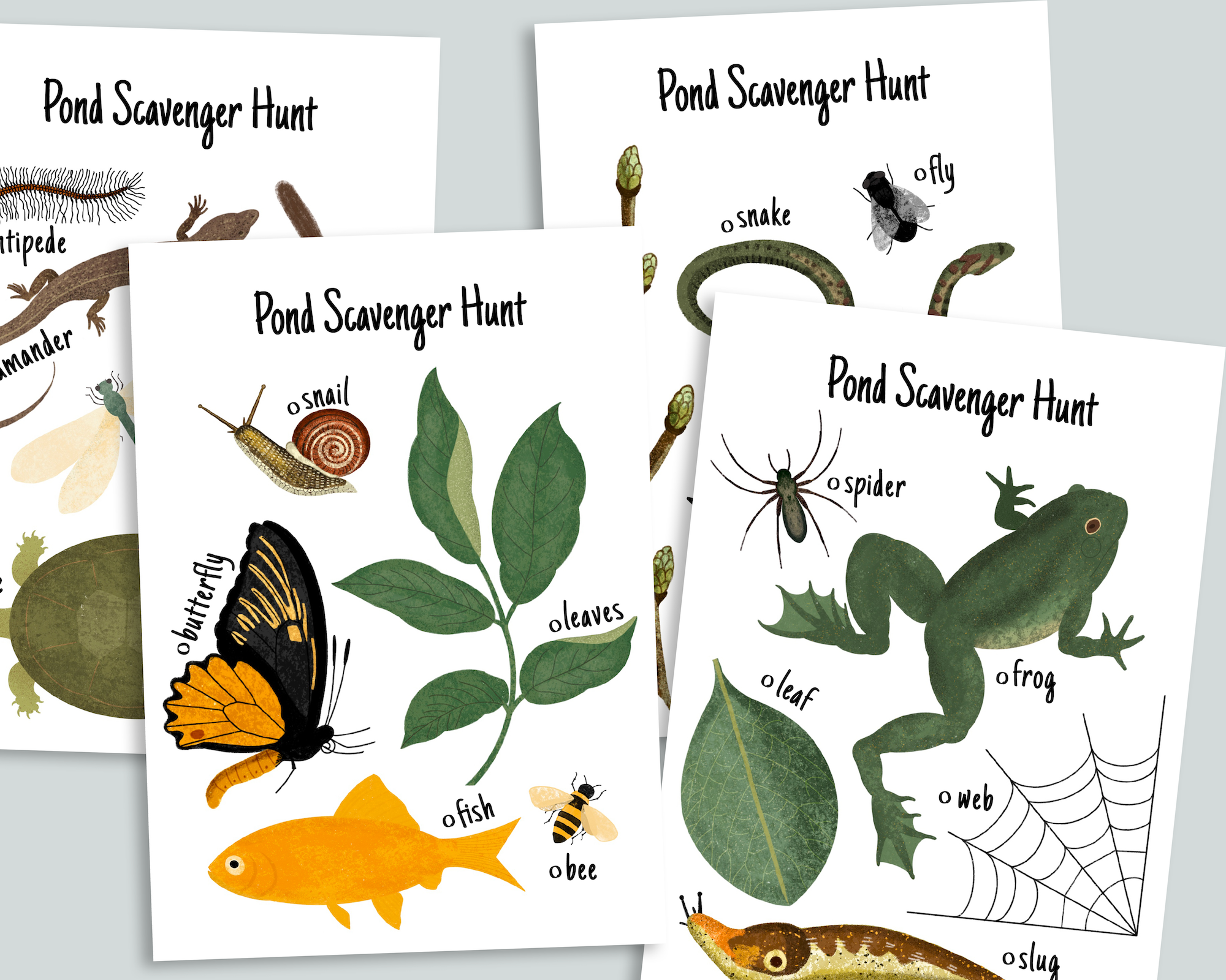 Pond Scavenger Hunt