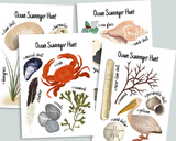 Ocean Activity Pack