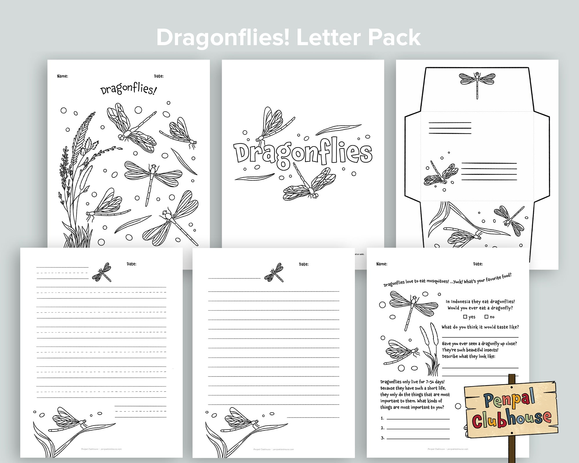 Dragonflies Letter Pack