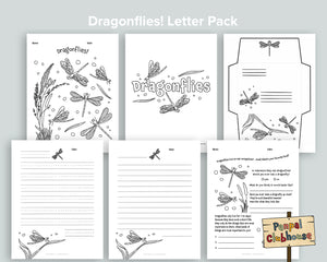 Dragonflies Letter Pack