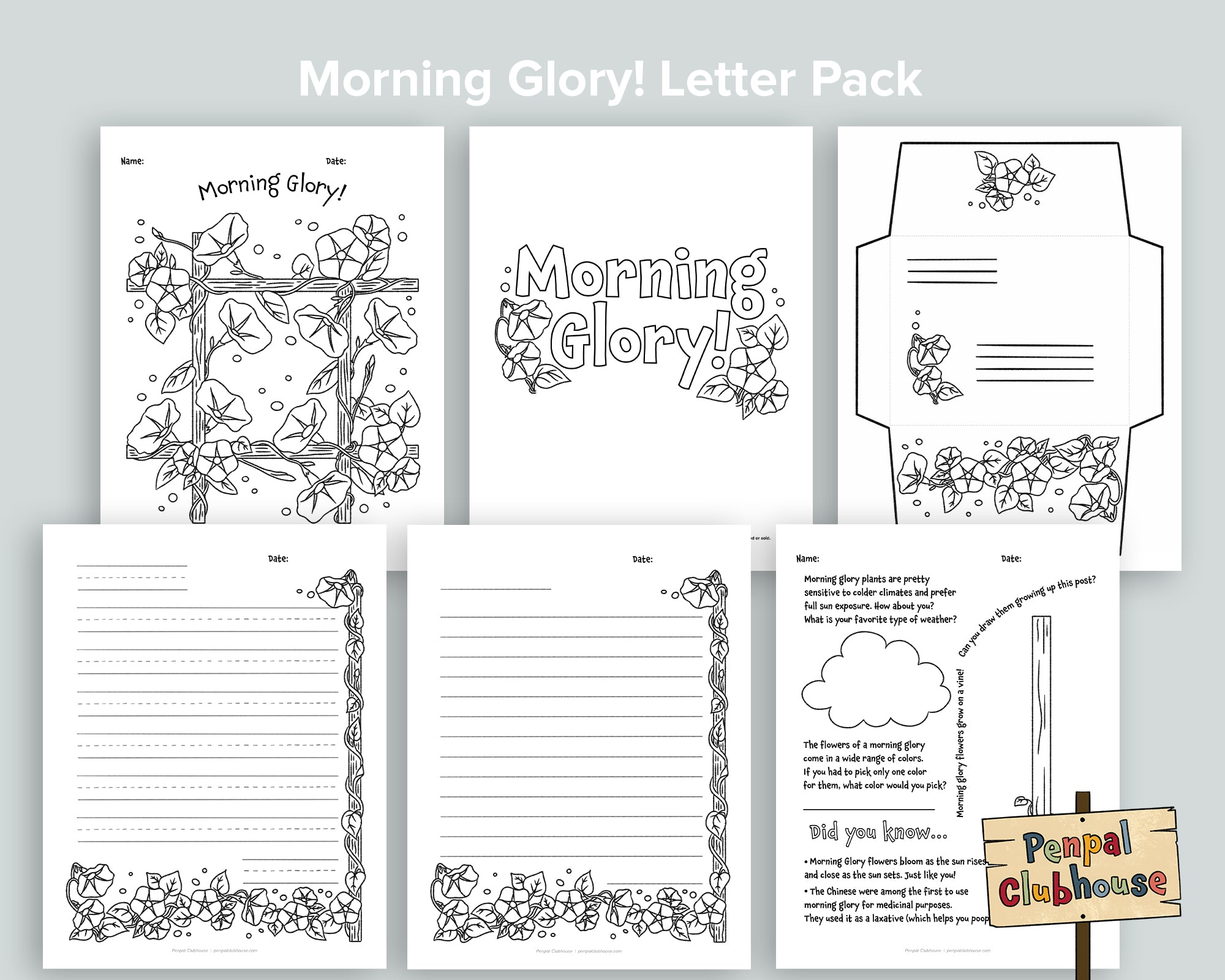 Morning Glory Letter Pack