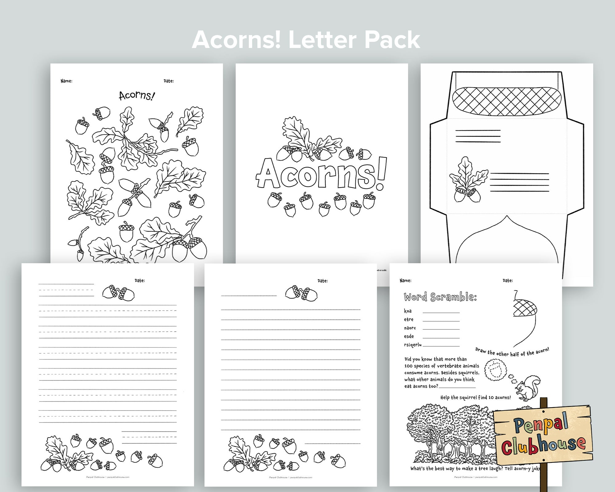 Acorns Letter Pack