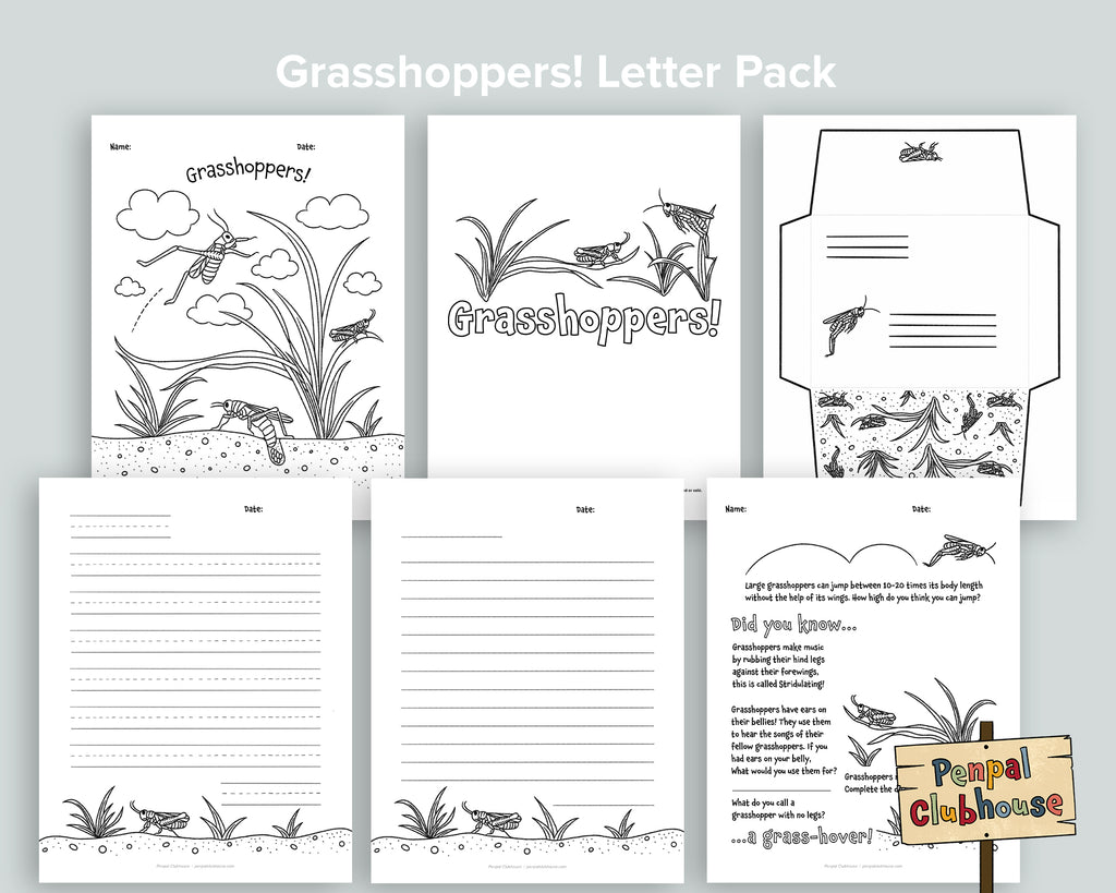 Grasshoppers Letter Pack