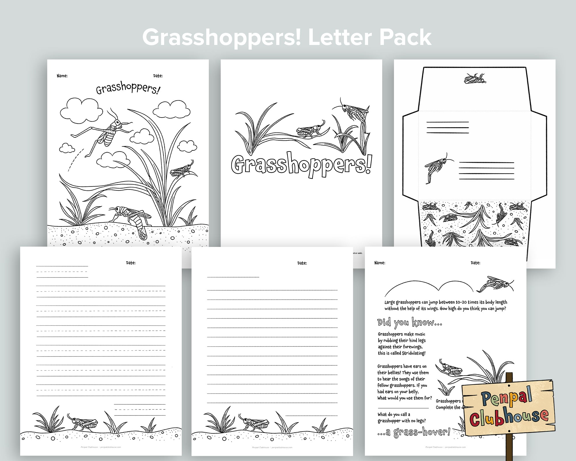 Grasshoppers Letter Pack