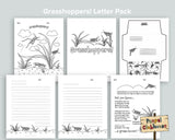 Grasshoppers Letter Pack