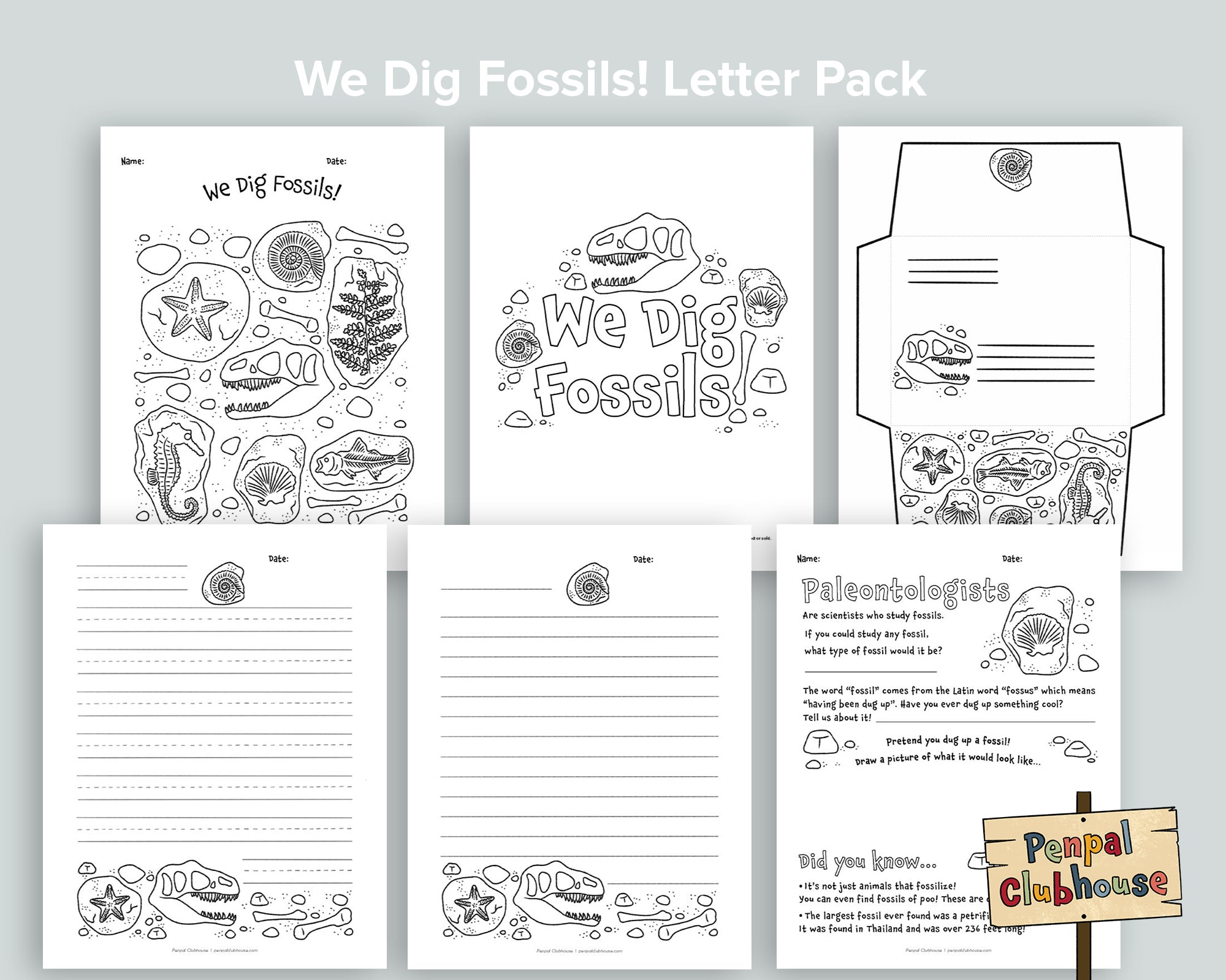 We Dig Fossils Letter Pack