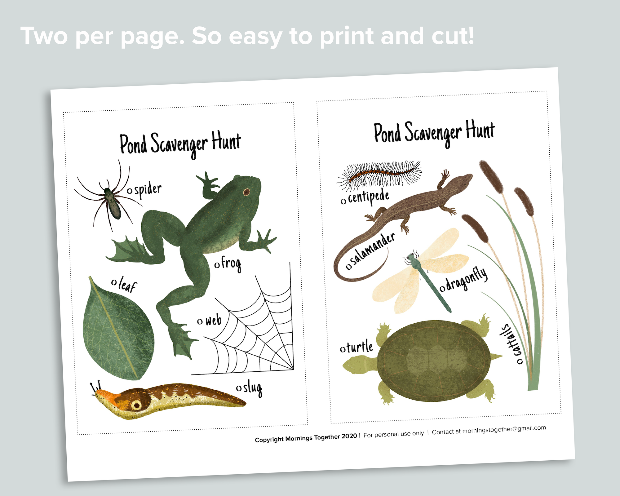 Pond Scavenger Hunt
